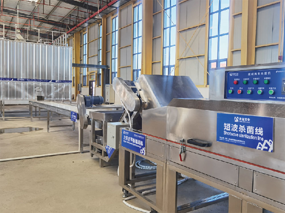 Russia Kaluga Oblast 10t/d deep and intensive processing