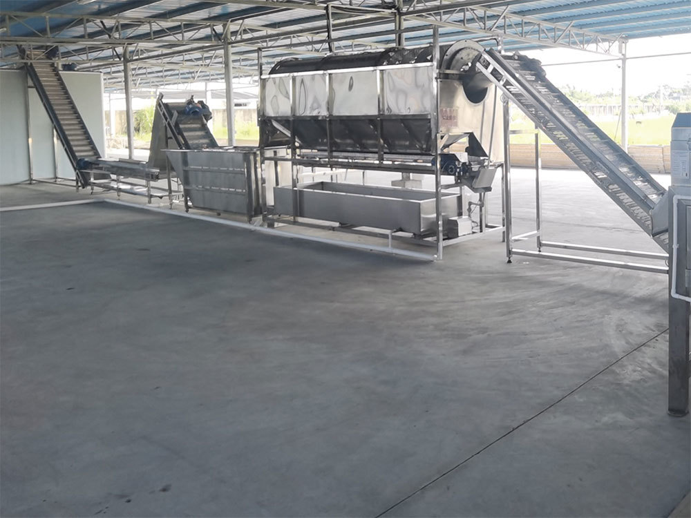 Dongxing Yicheng Food Development Co., Ltd. 150t/d intelligent CNC processing