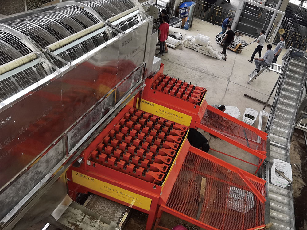 Yunnan Hanlin Agriculture Co., Ltd. 50t/d automatic preliminary processing