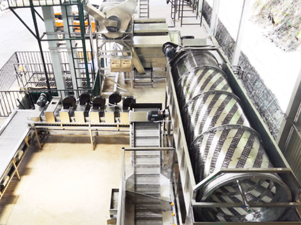 Yunnan Macadamia Industry Development Co., Ltd. Lincang Branch (Daxueshan Town, Zhenkang County) 150t/d processing