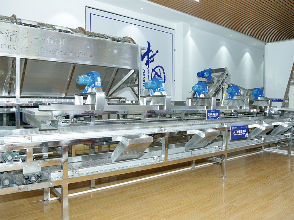 100t/d macadamia CNC preliminary processing production line