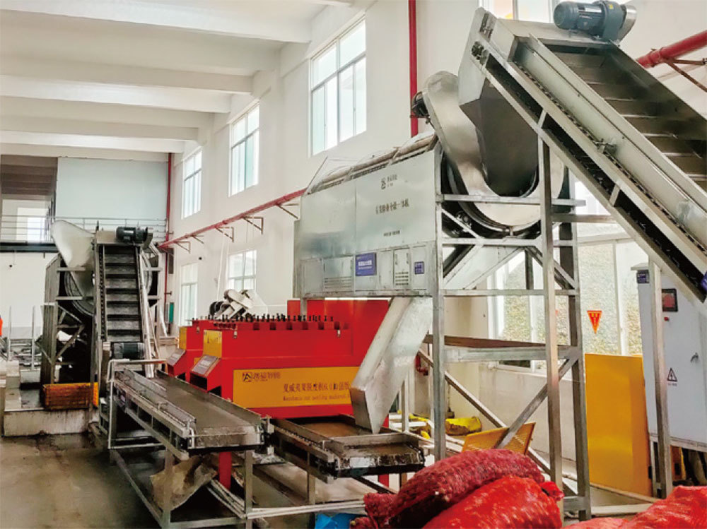Guangxi Pingxiang Huaguan Weilei Food Co., Ltd. 80t/d processing