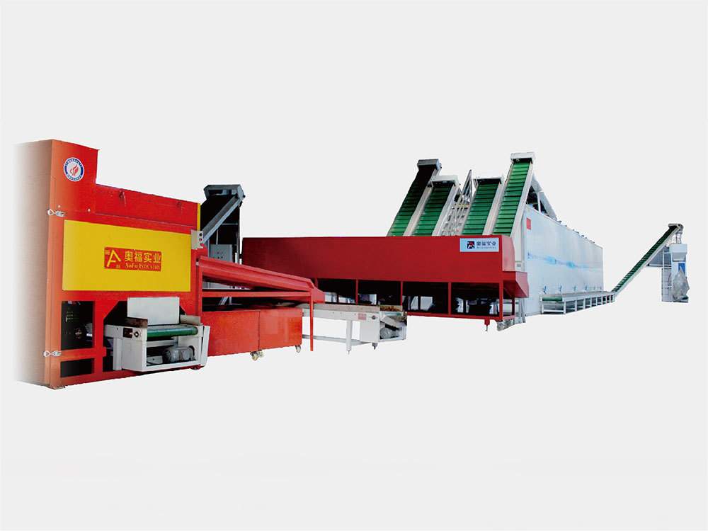 Dehong Prefecture Yingjiang County macadamia preliminary processing automation production line