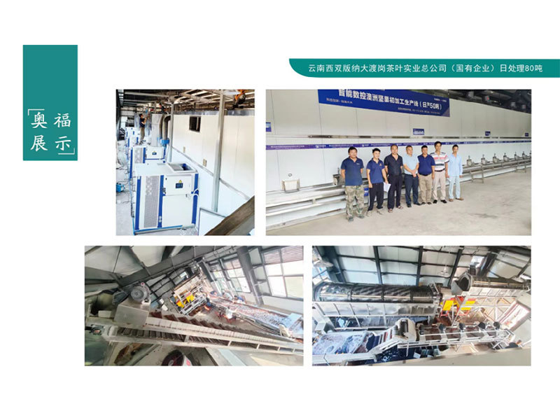 Yunnan Xishuangbanna State-owned Farm Intelligent CNC primary processing production line