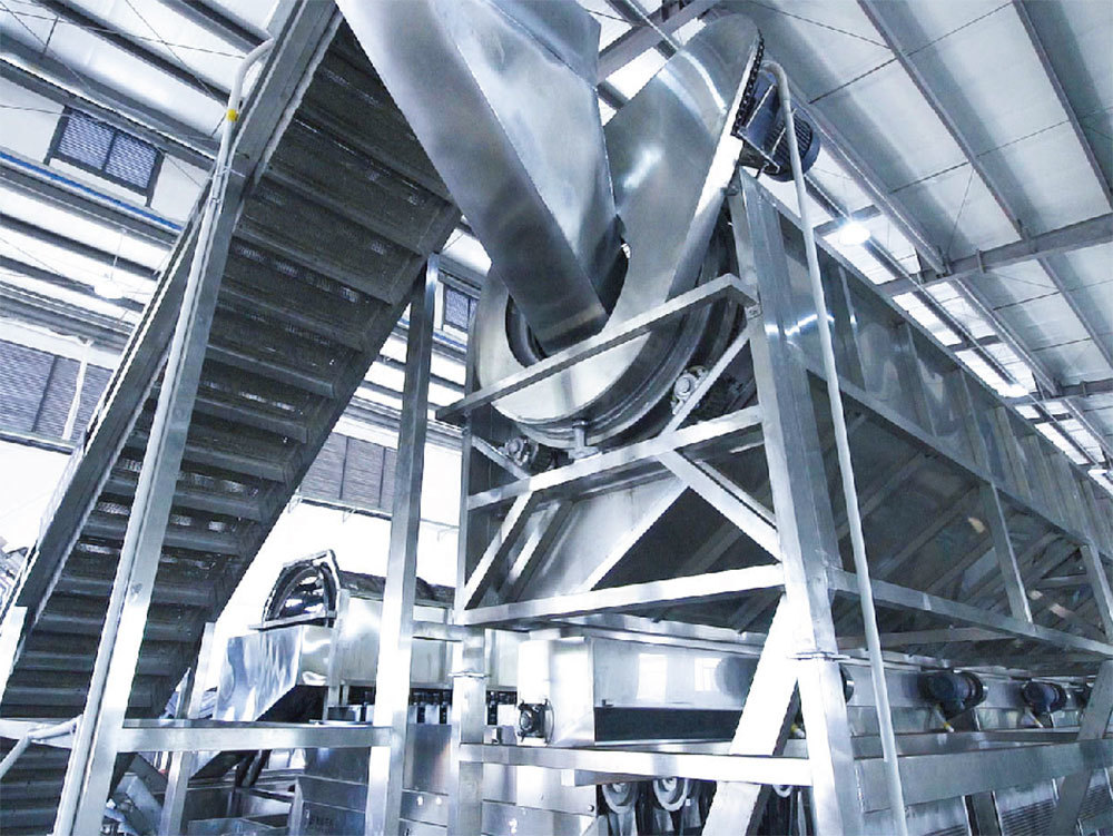 Lincang Jieyuan Nut Co., Ltd. 200t/d intelligent CNC processing