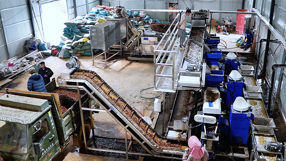 Display production line