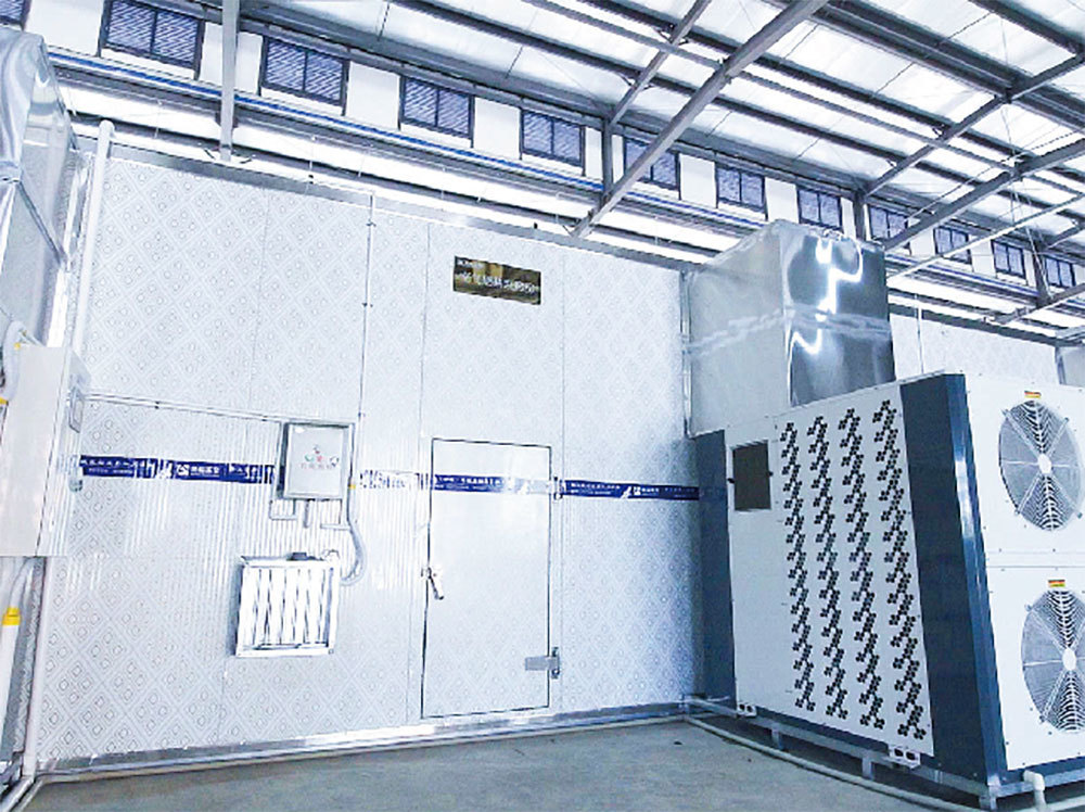 Lincang Jieyuan Nut Co., Ltd. 200t/d intelligent CNC processing