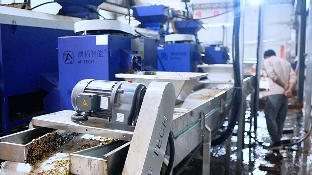 Coffee fresh fruit processing production line in Yongde County, Lincang City, Yunnan Province