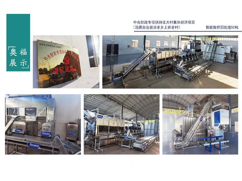 The central government provides special support to strengthen the village collective economic project Intelligent CNC primary processing production line